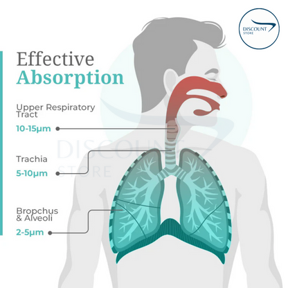 Portable Nebulizer Kit. 2 Masks for Kids and Adults (Cell & Type-C Operated)